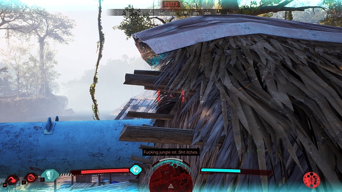 disc bug 2