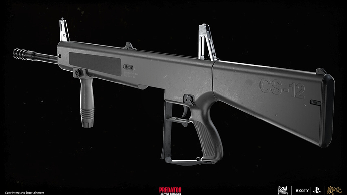20200901_1255_CS-12_Shotgun(1)
