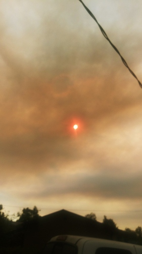 20200906_164332_copy_1170x2080