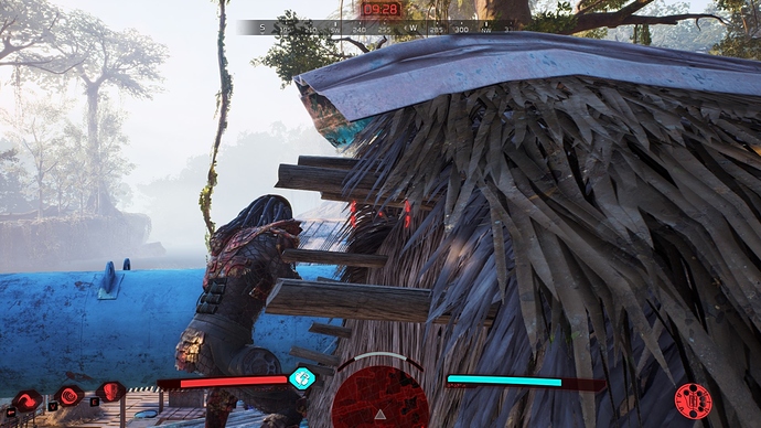 disc bug 1