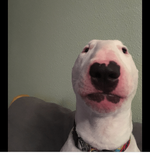 Screenshot_20200620-055147~2