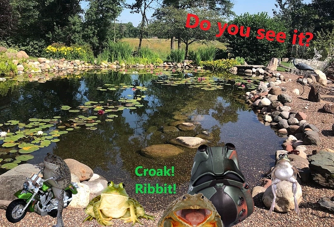 Frog Pond