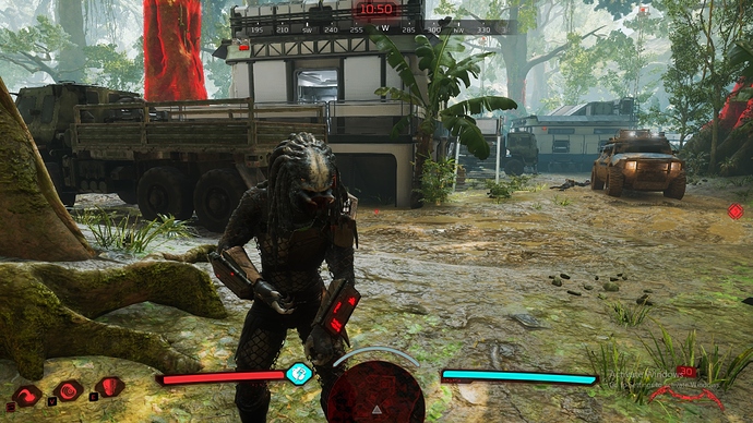 bug