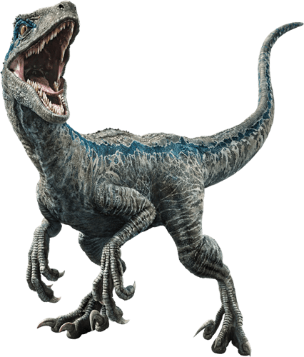 Fallen_kingdom_blue_the_velociraptor_v3_by_sonichedgehog2-dc9x53o