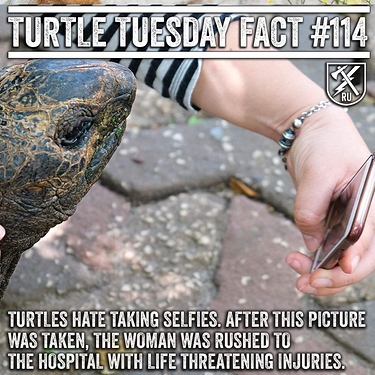 FB_IMG_1631025271979