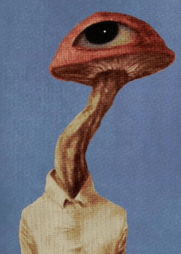 Fungus