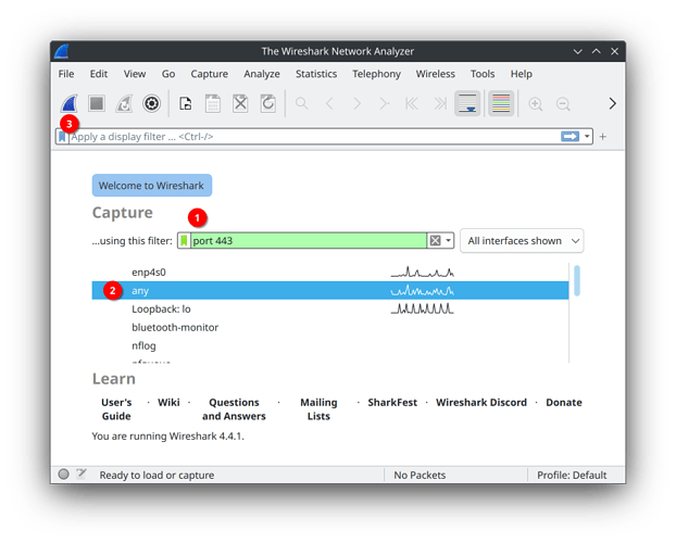 wireshark1