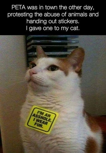 Screenshot_20220414-102104