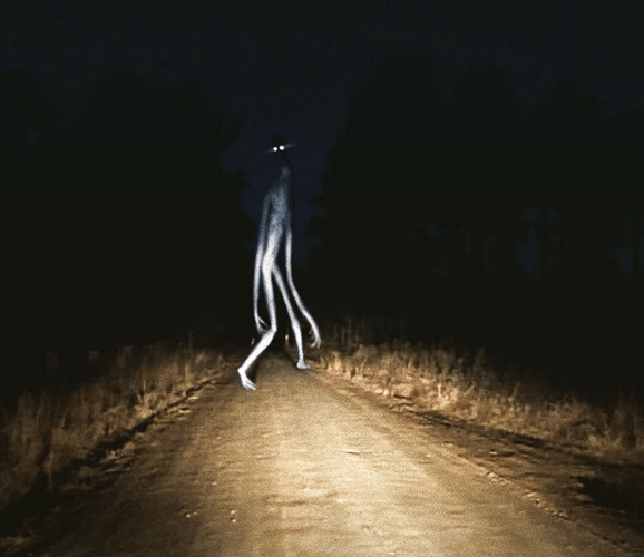 RoadWalker