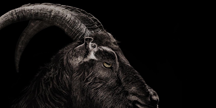 Black-Phillip-in-The-Witch