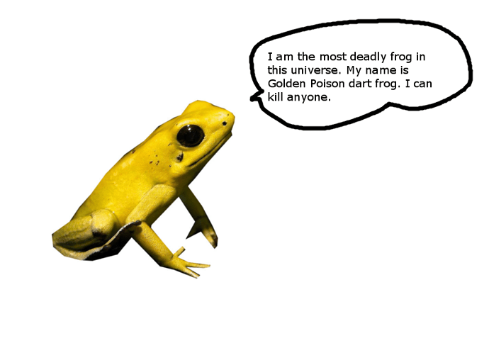 1img