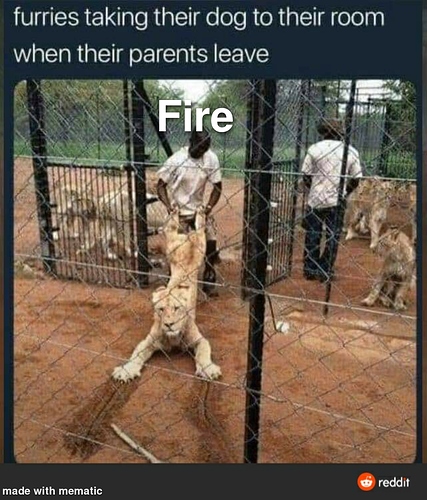 Mematic_20210620_110402