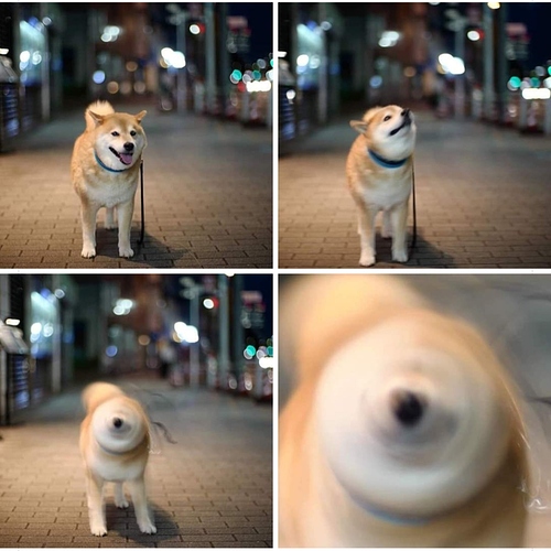 1627090250111