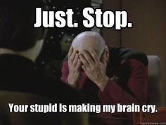 975c59692943cb30e51f293bf087a528--comment-memes-facepalm-meme