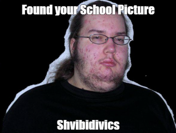 Shvibidivics