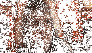 ezgif-6-fe34602cd02b-1