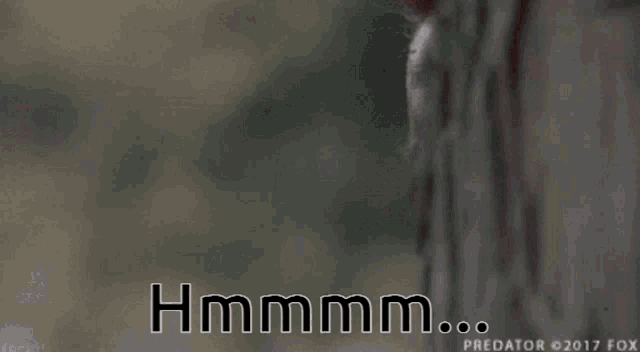 hmmmm-predator
