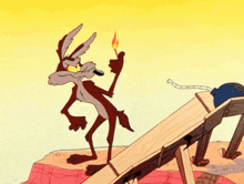 wile-coyote