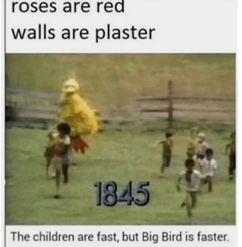 big bird is faster