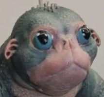 20250725_124002