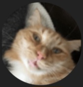 Screenshot_20251026_195412_Chrome