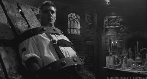 WavyLegalBoilweevil-size_restricted