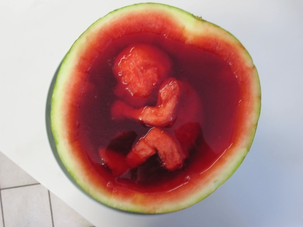 watermelon_fetus