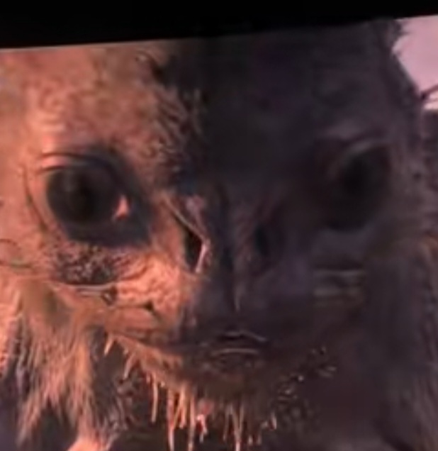 Screenshot_20251106_012249_TikTok