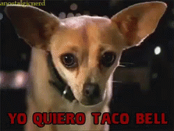 yo-quiero-taco-bell