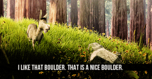 Donkey-Likes-This-Boulder-Its-A-Very-Nice-Boulder-In-Shrek-Gif