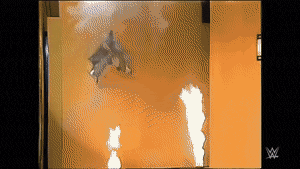 ForsakenSneakyCommabutterfly-max-1mb
