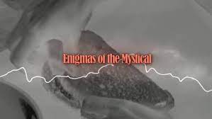 enigmas